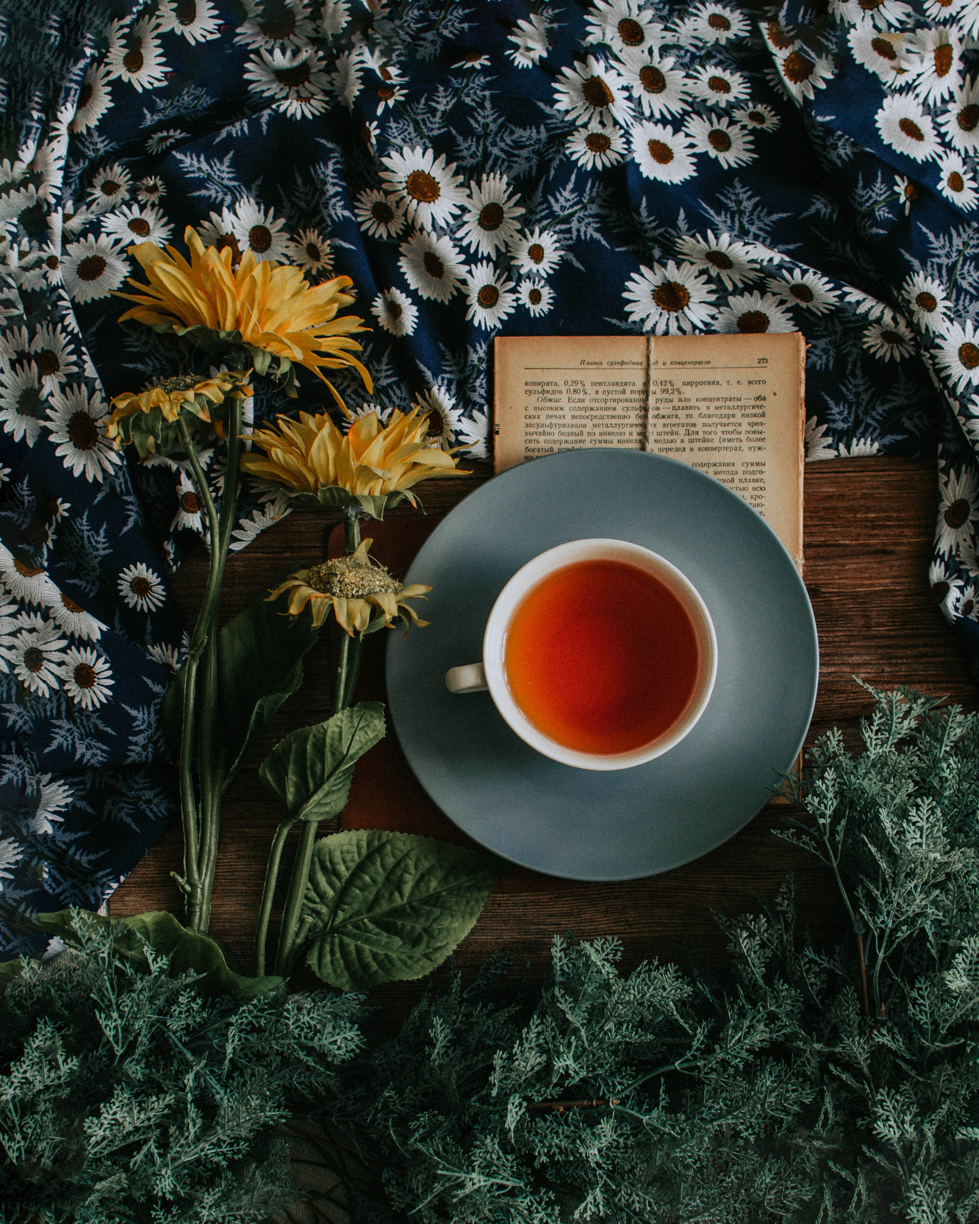 Zdroj: Unsplash